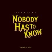 Pop: 090Malys – Nobody Has To Know [Download Mp3]